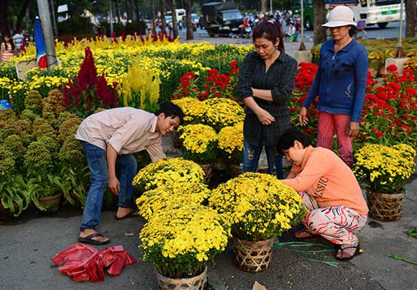 Bán hoa tết 2024