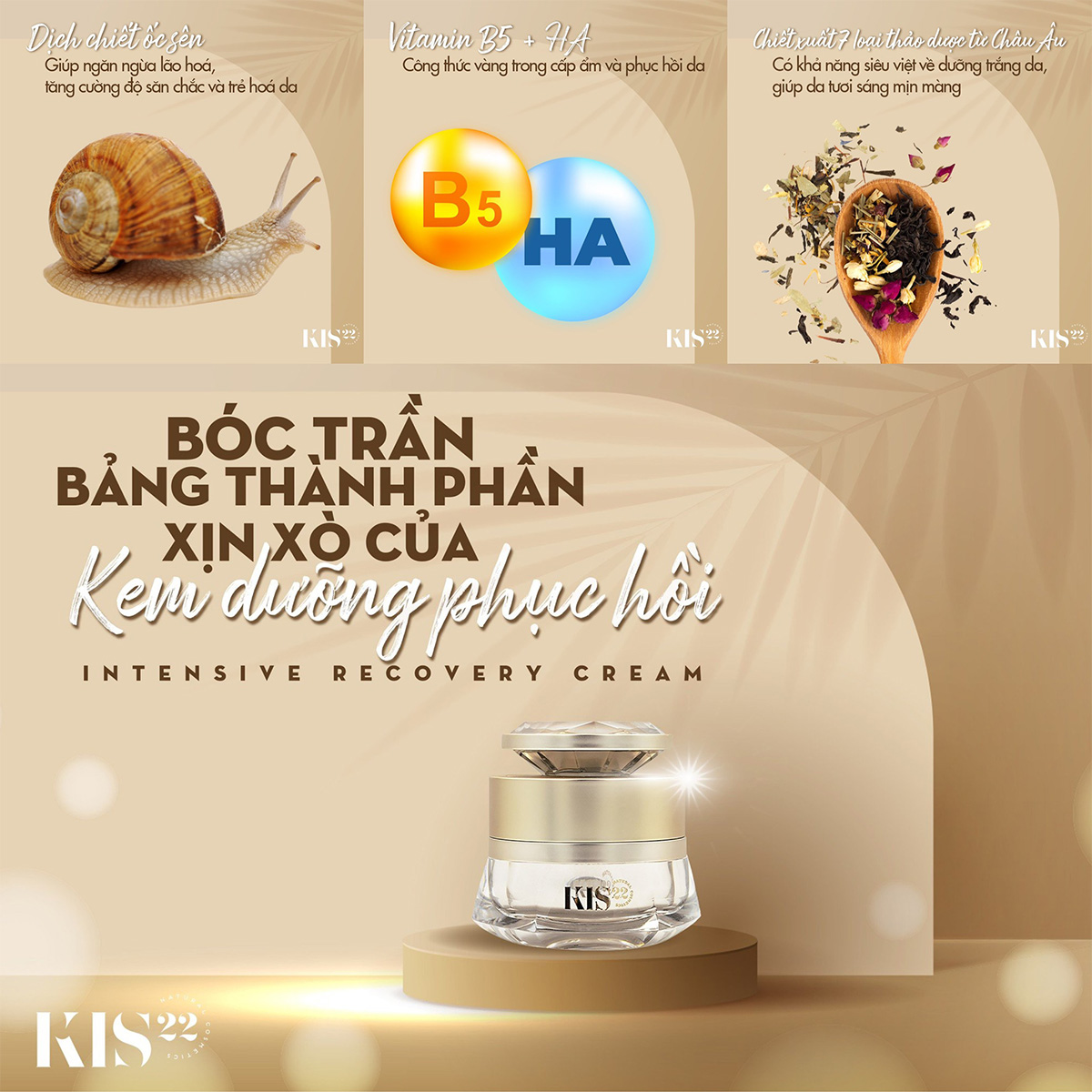  Chiết xuất 7 loại thảo dược từ Châu Âu