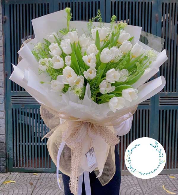 Tặng bó hoa tulip trắng xin lỗi người yêu